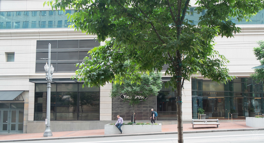 Greyhound was on block accross street.